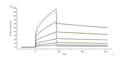 Human Integrin alpha 6 beta 1 (ITGA6&ITG