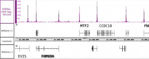 AbFlex Histone H3K9ac antibody (rAb)
