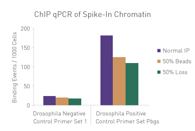 Spike-in Antibody