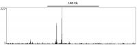 Localization of Estrogen Receptor Alpha