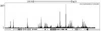Localization of RbBP5 Binding Sites by C