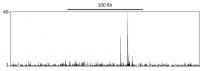 Localization of p53 Binding Sites by ChI
