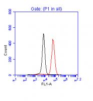 Flow Cytometrical Analysis of p53 in Jur