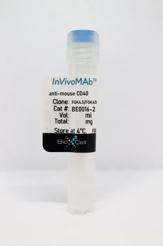 InVivoMAb anti-mouse CD40