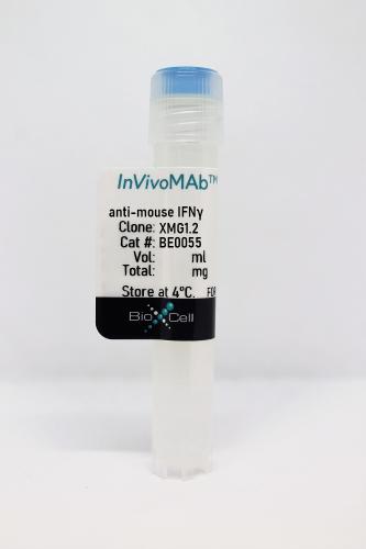 InVivoMAb anti-mouse IFNγ