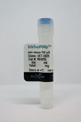 InVivoMAb anti-mouse TCR γ/δ