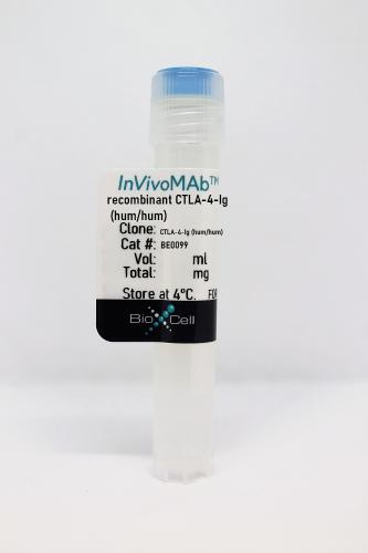 InVivoMAb recombinant CTLA-4-Ig (hum/hum