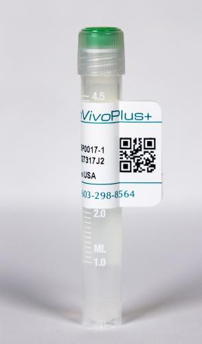 InVivoPlus anti-mouse CD40L (CD154)