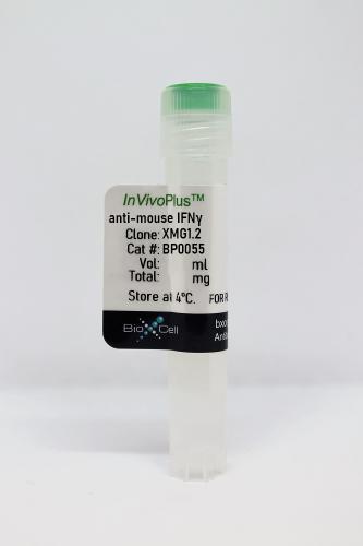 InVivoPlus anti-mouse IFNγ