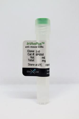 InVivoPlus anti-mouse CD8α