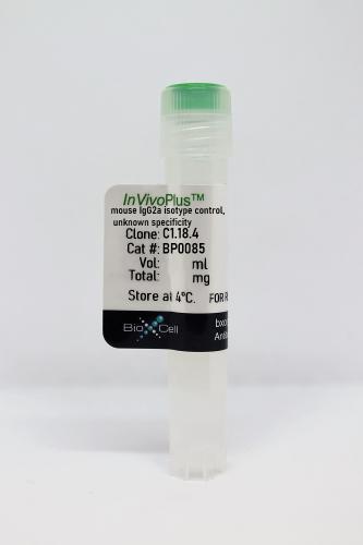 InVivoPlus mouse IgG2a isotype control, 