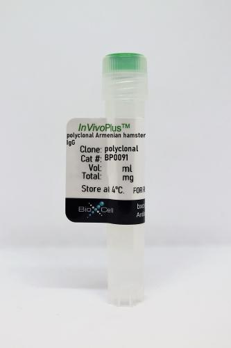 InVivoPlus polyclonal Armenian hamster I