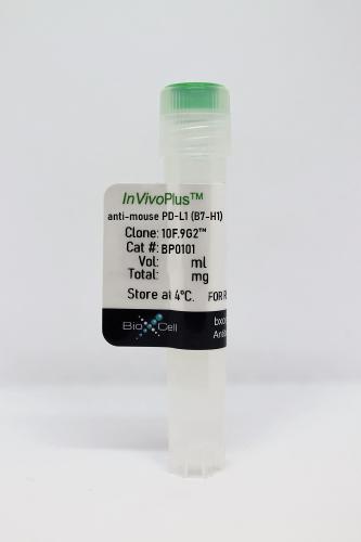 InVivoPlus anti-mouse PD-L1 (B7-H1)