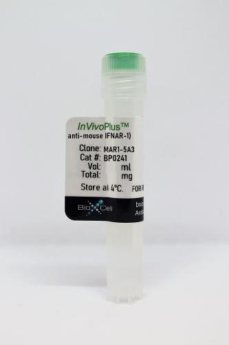InVivoPlus anti-mouse IFNAR-1