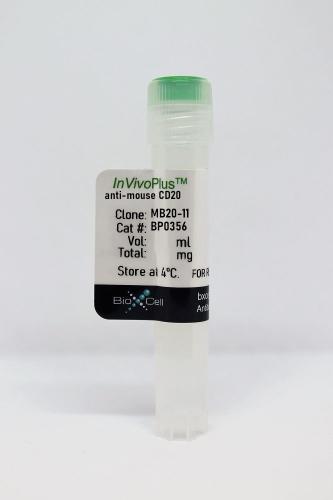 InVivoPlus anti-mouse CD20
