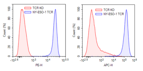NY-ESO-1-Specific TCR Lentivirus (Clone 