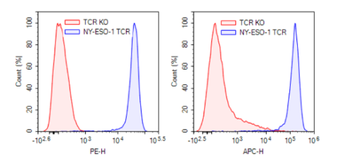 NY-ESO-1-Specific TCR Lentivirus (Clone 