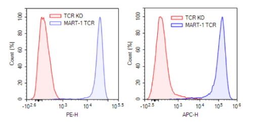 MART-1-Specific TCR Lentivirus (Clone DM