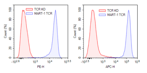 MART-1-Specific TCR Lentivirus (Clone DM