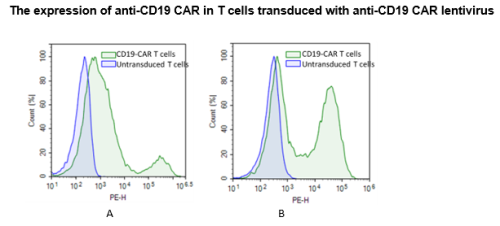 Anti-CD19 CAR Lentivirus (CD19 ScFv-CD8-