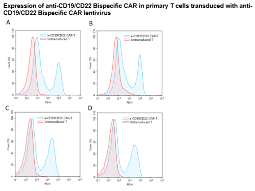 Anti-CD19/CD22 Bispecific CAR Lentivirus