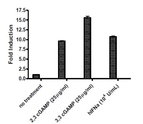 ISRE Luciferase Reporter Lentivirus (JAK