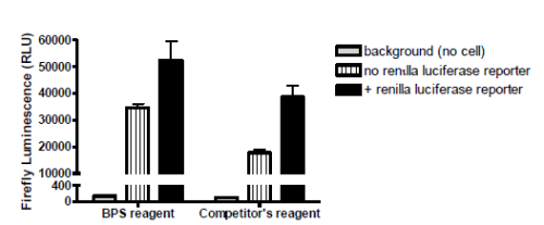 Dual Luciferase (Firefly-Renilla) Assay 