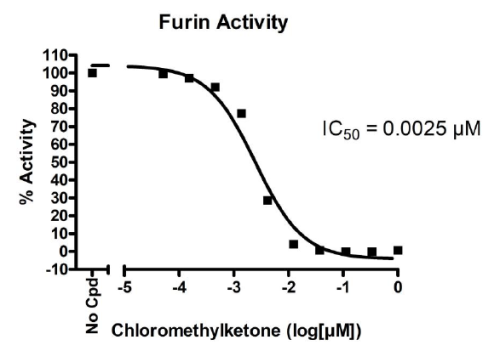 Furin Protease Assay Kit