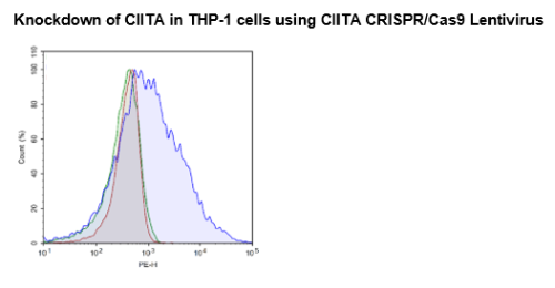 CIITA (Human) CRISPR/Cas9 Lentivirus (In
