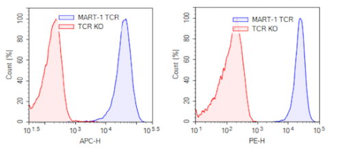 MART-1 TCR (DMF4) CD8+ NFAT-Luciferase R