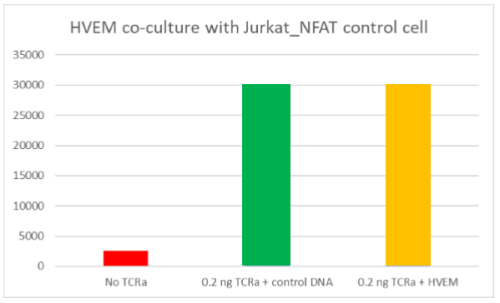 CD160/NFAT - Luciferase Reporter - Jurka