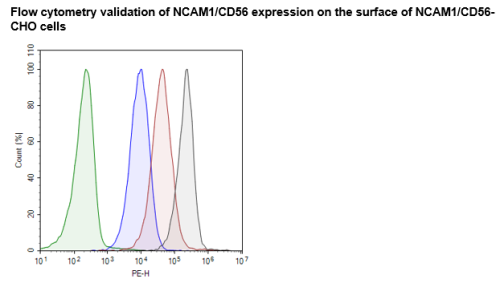 NCAM1 (CD56) CHO Cell Line (Medium Expre