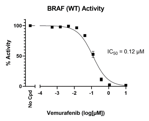 BRAF (WT) Kinase Assay Kit