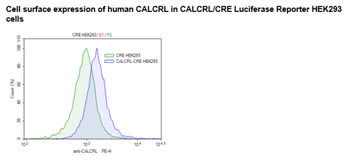 CGRPR/CRE Luciferase Reporter HEK293 Cel
