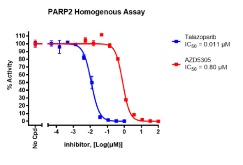 PARP2 Homogenous Assay Kit