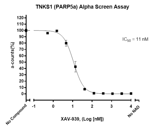 TNKS1 Homogenous Assay Kit