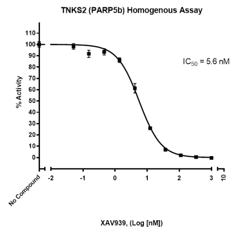 TNKS2 Homogenous Assay Kit