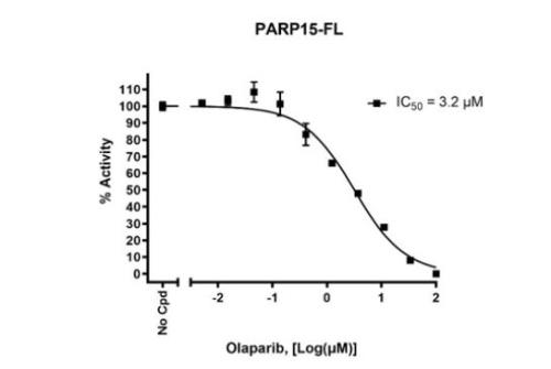 PARP15-FL Chemiluminescent Assay Kit