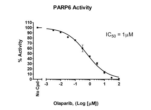 PARP6 Chemiluminescent Assay Kit