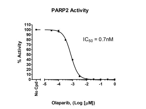 PARP2 Chemiluminescent Assay Kit