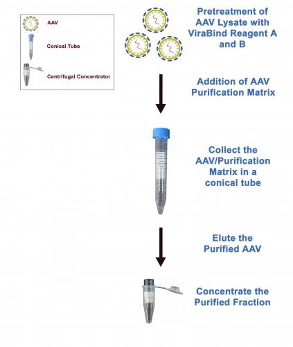 Purification Procedure for the ViraBind™