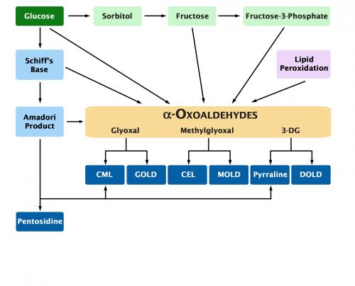 Advanced Glycation End Products (AGE) Ph