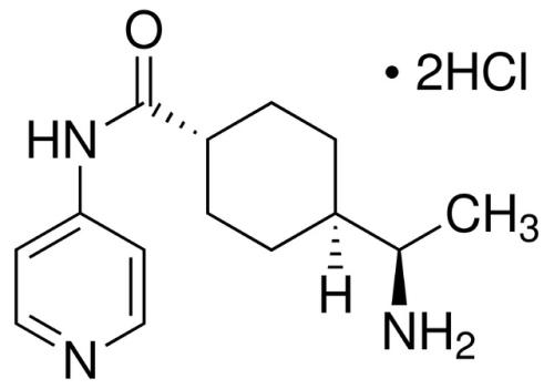 Y-27632