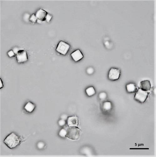PODS co-crystals