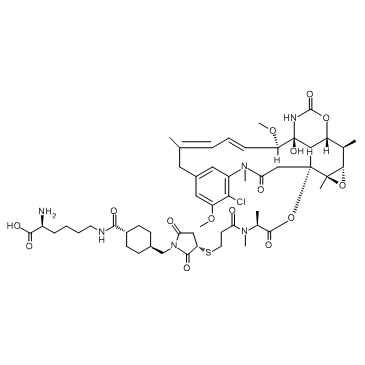 HY-101982-5mg: Lys-SMCC-DM1