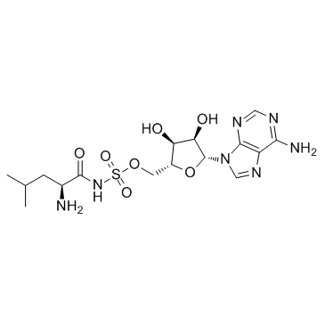 HY-108900-1mg: Leu-AMS
