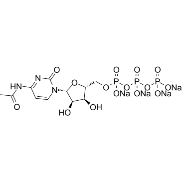 HY-111815A-5mg: N4-Acetylcytidine tripho