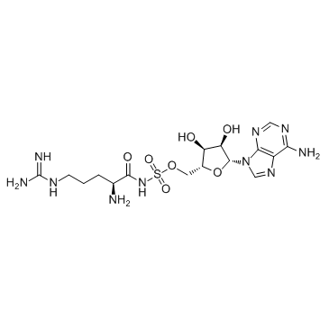 HY-112862-1mL: Arg-AMS