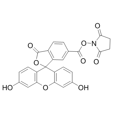 HY-15939-10mg: 6-FAM SE