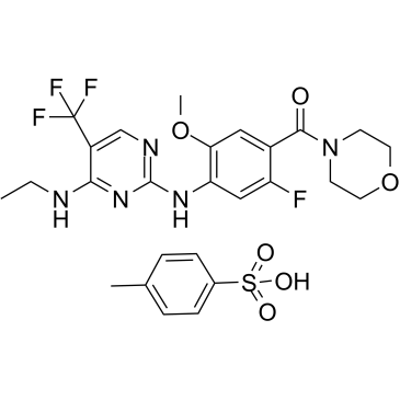 HY-18163A-1mL: GNE-7915 (tosylate)